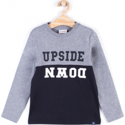 Koszulka. Szare t-shirty chłopięce z długim rękawem BASIC BOY, z aplikacjami, z bawełny. Za 29,90 zł.