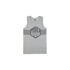 T-shirt męski bez rękawów. Szare t-shirty męskie TXM, m, bez wzorów, bez kołnierzyka. Za 19,99 zł.