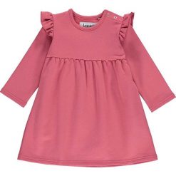 Sukienka dresowa w kolorze jagodowym. Różowe sukienki niemowlęce lamino, z nadrukiem, z dresówki, bez rękawów, rozkloszowane. W wyprzedaży za 48,95 zł.