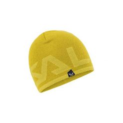 Czapki zimowe damskie: Czapki Salewa Czapka Antelao Reversible Wo Beanie 25080-5731