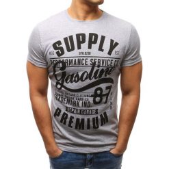 T-shirty męskie z nadrukiem: T-shirt męski z nadrukiem szary (rx2653)