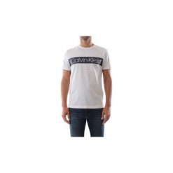 T-shirty z krótkim rękawem Calvin Klein Jeans K10K103006 COTTON LOGO STRIPE. Szare t-shirty męskie Calvin Klein Jeans, s, bez wzorów, z jeansu, bez kołnierzyka, krótkie. Za 122,52 zł.