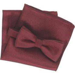 Muchy męskie: mucha elegant bordo slim 200