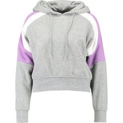Bluzy rozpinane damskie: TWINTIP Bluza z kapturem light grey