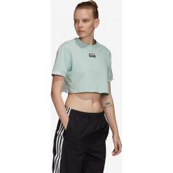 Adidas Originals Koszulka Zielony. Zielone koszulki damskie adidas Originals, s, bez wzorów, z bawełny, bez kołnierzyka, z krótkim rękawem. Za 119,95 zł.