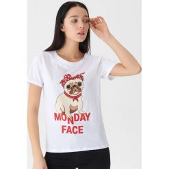 T-shirt z mopsem - Biały. Białe t-shirty damskie House, s, bez wzorów, bez kołnierzyka. W wyprzedaży za 15,99 zł.