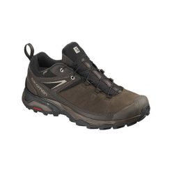 Buty trekkingowe męskie: Salomon Buty męskie X Ultra 3 Ltr GTX Delicioso/Bungee Cord r. 44 (404785)