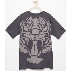 T-shirty chłopięce: T-shirt z tygrysem – Szary