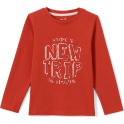 Odzież dziecięca: T-shirt z długim rękawem 3-12 lat