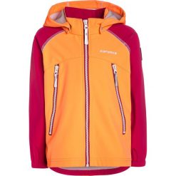 Icepeak RIONA Kurtka Softshell pfirsich. Brązowe kurtki sportowe męskie marki Icepeak, z elastanu. W wyprzedaży za 135,15 zł.