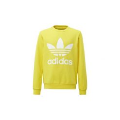 Bluzy chłopięce: Bluzy Dziecko adidas Bluza z zaokrąglonym dekoltem Trefoil