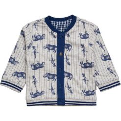 Noppies LEEDS BABY Kardigan light kobalt. Szare swetry chłopięce marki Noppies, z bawełny. Za 149,00 zł.