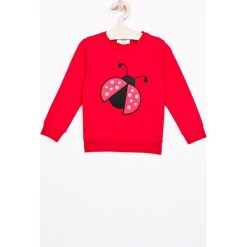 Bluzy dziewczęce: Trendyol - Bluza dziecięca 98-128 cm
