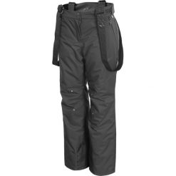 4F HQ Performance Spodnie Szary. Szare spodnie damskie 4f, s, z poliesteru. Za 860,95 zł.