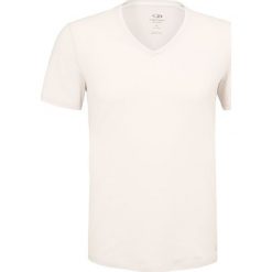 Podkoszulki męskie: Icebreaker MENS ANATOMICA Podkoszulki ivory/white