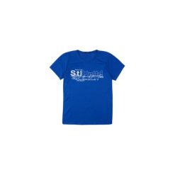 T-shirt krótki rękaw męski z printem. Szare t-shirty męskie marki TXM, z dresówki. Za 9,99 zł.