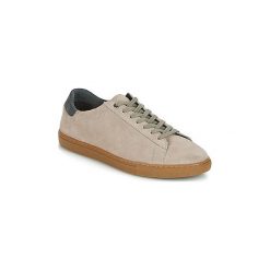 Trampki męskie: Buty Frank Wright TIGERS