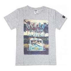 T-shirty chłopięce: Koszulka w kolorze szarym