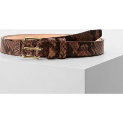 Paski damskie: CLOSED Pasek camel