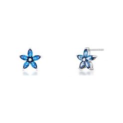 Kolczyki Srebrne - srebro 925, Topaz london blue. Szare kolczyki damskie marki W.KRUK, z topazem, srebrne, na sztyftcie. Za 299,00 zł.