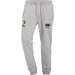 Spodnie dresowe męskie: Santa Monica HAVERTON Spodnie treningowe grey marl