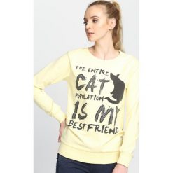 Bluzy damskie: Żółta Bluza Entire Cat
