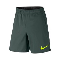 Nike M NK FLX KRÓTKA WENTYLACJA MAKS, 10 | SZKOLENIE MĘŻCZYZN | MĘŻCZYZNA | KRÓTKI | ROCZNIK ZIELONY / NAPIĘCIE | L. Zielone spodenki i szorty męskie Nike, m, bez wzorów, krótkie. W wyprzedaży za 165,12 zł.
