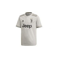 T-shirty z krótkim rękawem Dziecko adidas Koszulka wyjazdowa Juventus. Szare bluzki dziewczęce z krótkim rękawem Adidas, bez wzorów. Za 279,00 zł.