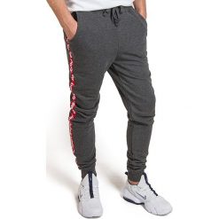 ALPHA INDUSTRIES INC RBF TAPE JOGGER > 196317-315. Spodnie męskie Alpha Industries, s, z napisami, z bawełny, street. W wyprzedaży za 239,99 zł.