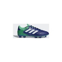 Buty sportowe męskie: Buty do piłki nożnej adidas Buty Copa 18.2 FG