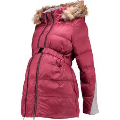 Płaszcze damskie: bellybutton JACKET 1/1 SLEEVES HOOD Płaszcz zimowy dark wine red