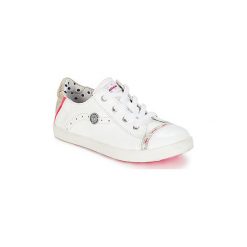 Buty Dziecko Catimini PANDA. Białe trampki dziewczęce marki Catimini, bez wzorów, bez zapięcia. Za 311,20 zł.
