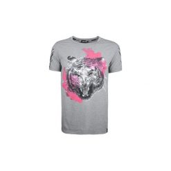 T-shirty z krótkim rękawem Roberto Cavalli HYX20T JE046. Szare t-shirty męskie Roberto Cavalli, xl, bez wzorów, bez kołnierzyka, krótkie. Za 219,00 zł.