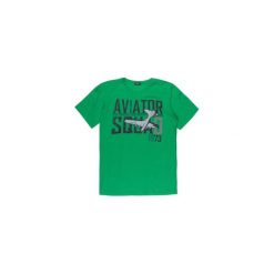 T-shirty męskie: t-shirt męski gładki, z printem