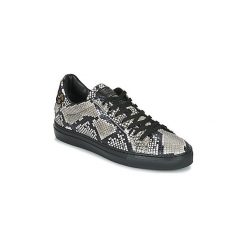 Buty Roberto Cavalli 8309. Czarne trampki męskie Roberto Cavalli, bez wzorów, bez zapięcia. Za 1229,00 zł.