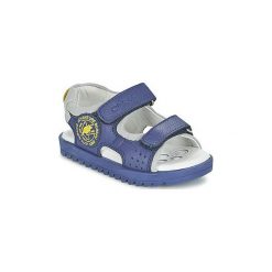 Sandały Dziecko Chicco CRISPINO. Niebieskie sandały chłopięce marki Chicco, bez zapięcia. Za 191,20 zł.