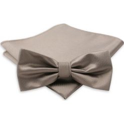 Elegancka mucha i poszetka Alties MUALTS0024. Muszki męskie Alties, na imprezę, w paski, eleganckie. Za 40,00 zł.