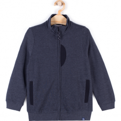 Bluza. Szare bluzy chłopięce rozpinane BASIC BOY, z bawełny, z długim rękawem, długie. Za 44,90 zł.