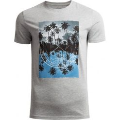 T-shirt męski TSM617 - chłodny jasny szary melanż - Outhorn. Szare koszulki męskie Outhorn, m, bez wzorów, bez kołnierzyka, bez rękawów. W wyprzedaży za 39,99 zł.