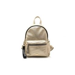 Plecaki damskie: Plecaki MTNG MOCHILA GALINA-C39109-BATANA GOLD