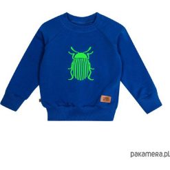 Bluzy chłopięce: bluza -stonka