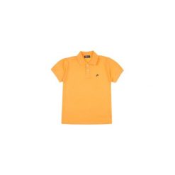 T-shirt chłopięcy polo. T-shirty chłopięce TXM, bez wzorów, z bawełny, z krótkim rękawem. Za 9,99 zł.