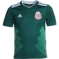 T-shirty chłopięce z nadrukiem: adidas Performance FMF MEXICO Tshirt z nadrukiem green/white