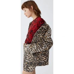 Koszulka w panterkę. Czerwone t-shirty damskie marki Pull&Bear, z motywem zwierzęcym. Za 29,90 zł.