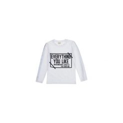 T-shirty chłopięce: t-shirt długi rękaw chłopięcy z printem