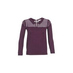 Swetry damskie: Swetry Betty London FARADIS