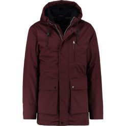 Parki męskie: Suit RON Parka plum