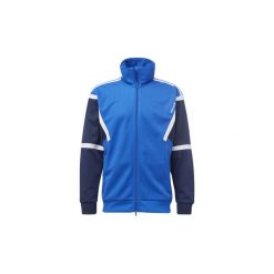 Bluzy męskie: Bluzy dresowe adidas Bluza dresowa Training