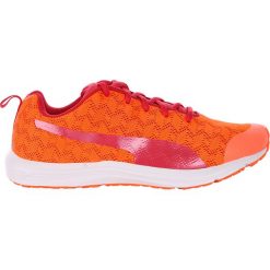 Buty sportowe damskie: buty sportowe damskie PUMA EVADER XT V2 / 188562-01