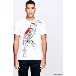 Borneo Hornbill t-shirt man. T-shirty męskie Pakamera, m, bez wzorów, z wiskozy, klasyczne, z klasycznym kołnierzykiem. Za 129,00 zł.